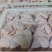 白条鸡肉食鸡西装鸡鸡肉对接各大批发市场商超食品加工企业