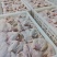 白条鸡肉食鸡西装鸡鸡肉对接各大批发市场商超食品加工企业