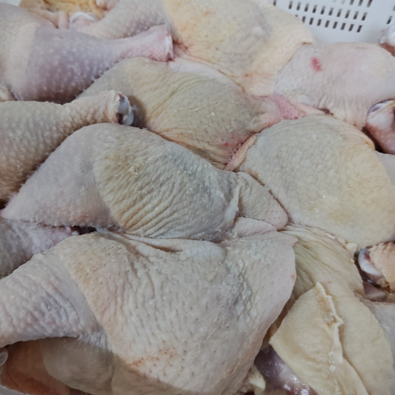 白条鸡肉食鸡西装鸡鸡肉对接各大批发市场商超食品加工企业