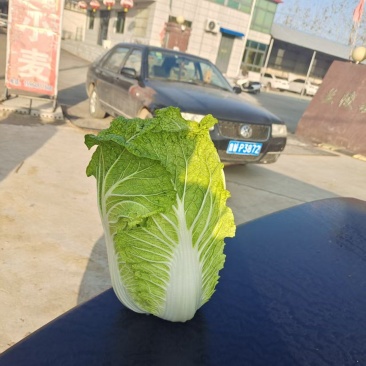 黄心大白菜已上市，预定中