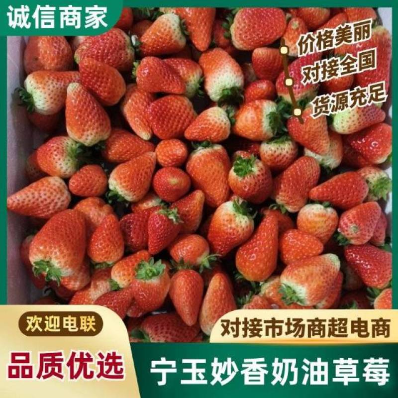 支持一件代发，全国代发