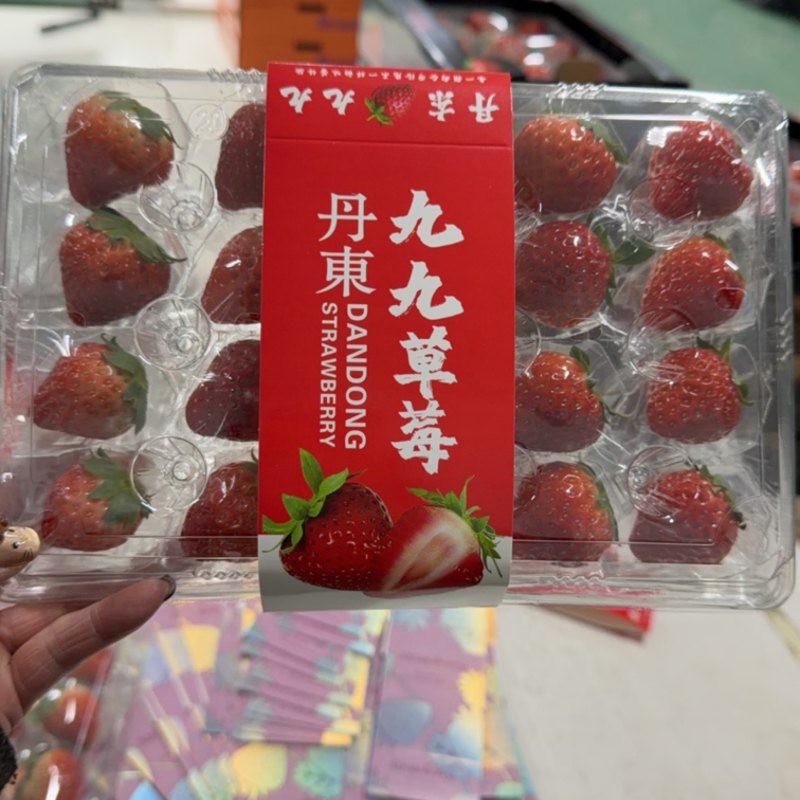 丹东九九草莓透明胶盒，价格美丽欢迎采购对接全国量大从优