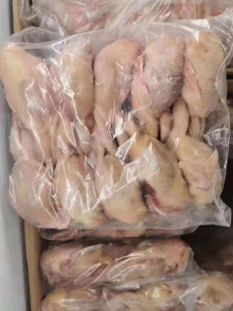 掏膛放血大鹌鹑