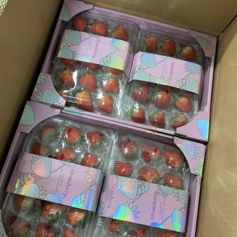 丹东九九草莓精品二合一礼盒对接全国市场量大从优欢迎采购