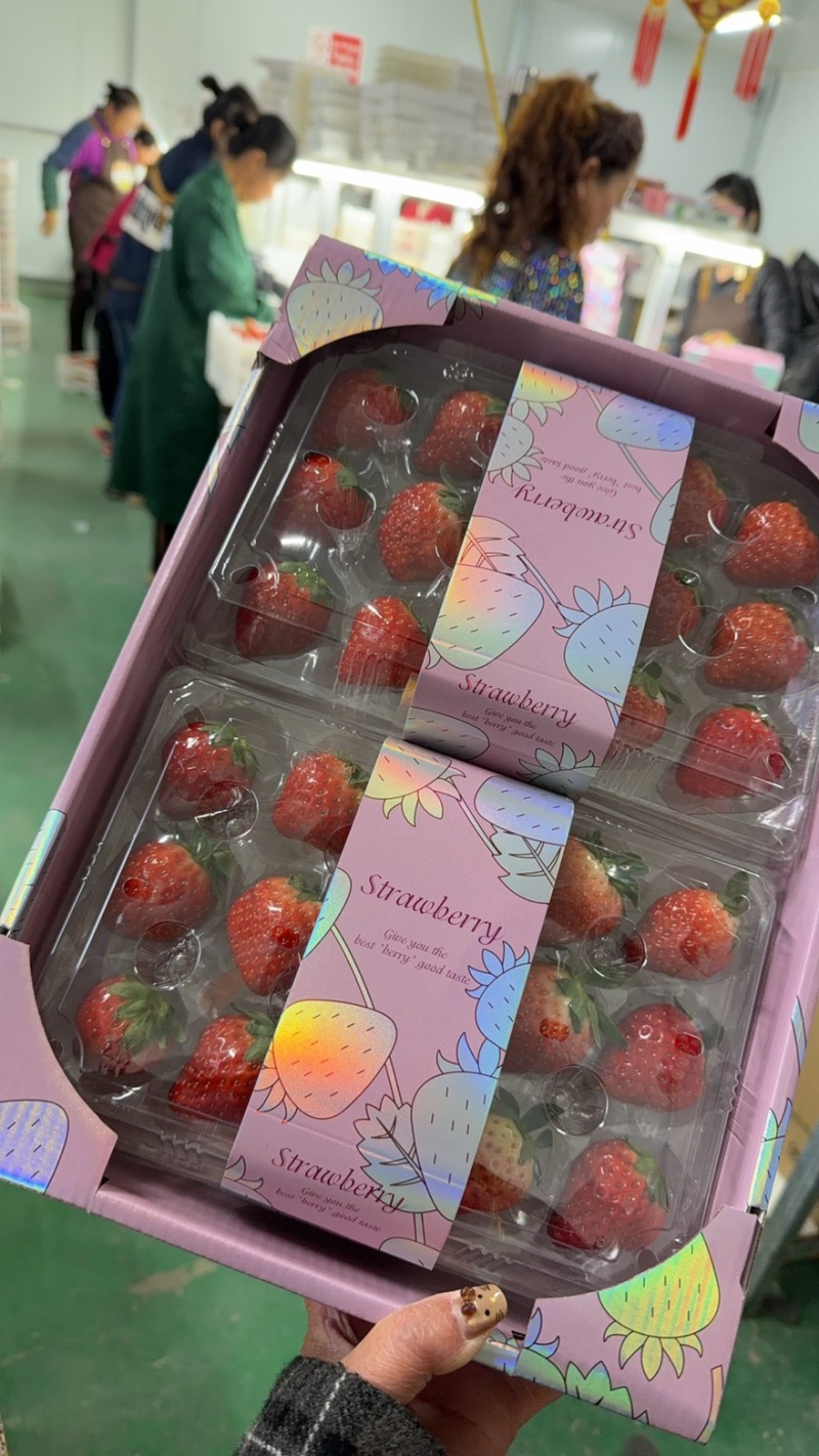 丹东九九草莓精品二合一礼盒对接全国市场量大从优欢迎采购