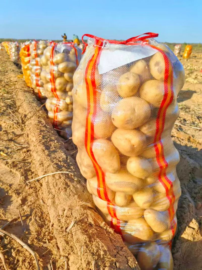 榆林内蒙土豆大量供应。规格齐全质量保证