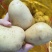 榆林内蒙土豆大量供应。规格齐全质量保证