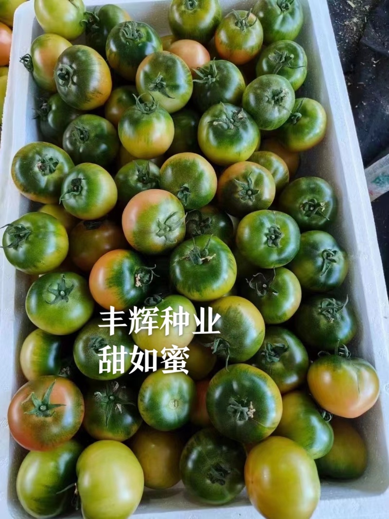 草莓西红柿苗浓绿肩糖度高，口感脆甜抗病强高产常年有苗