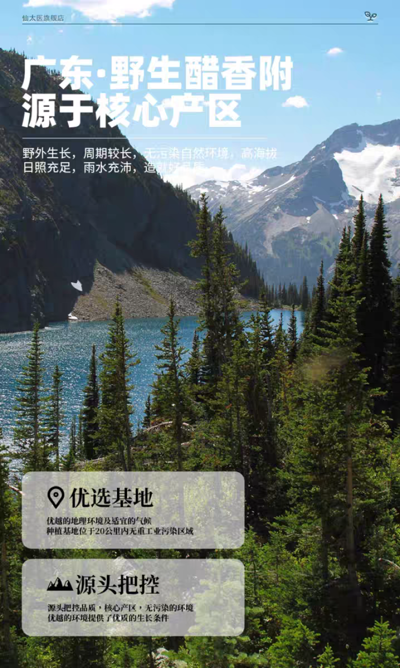 包邮）野生炒香附子500g香附中药材醋香附野生大别山制