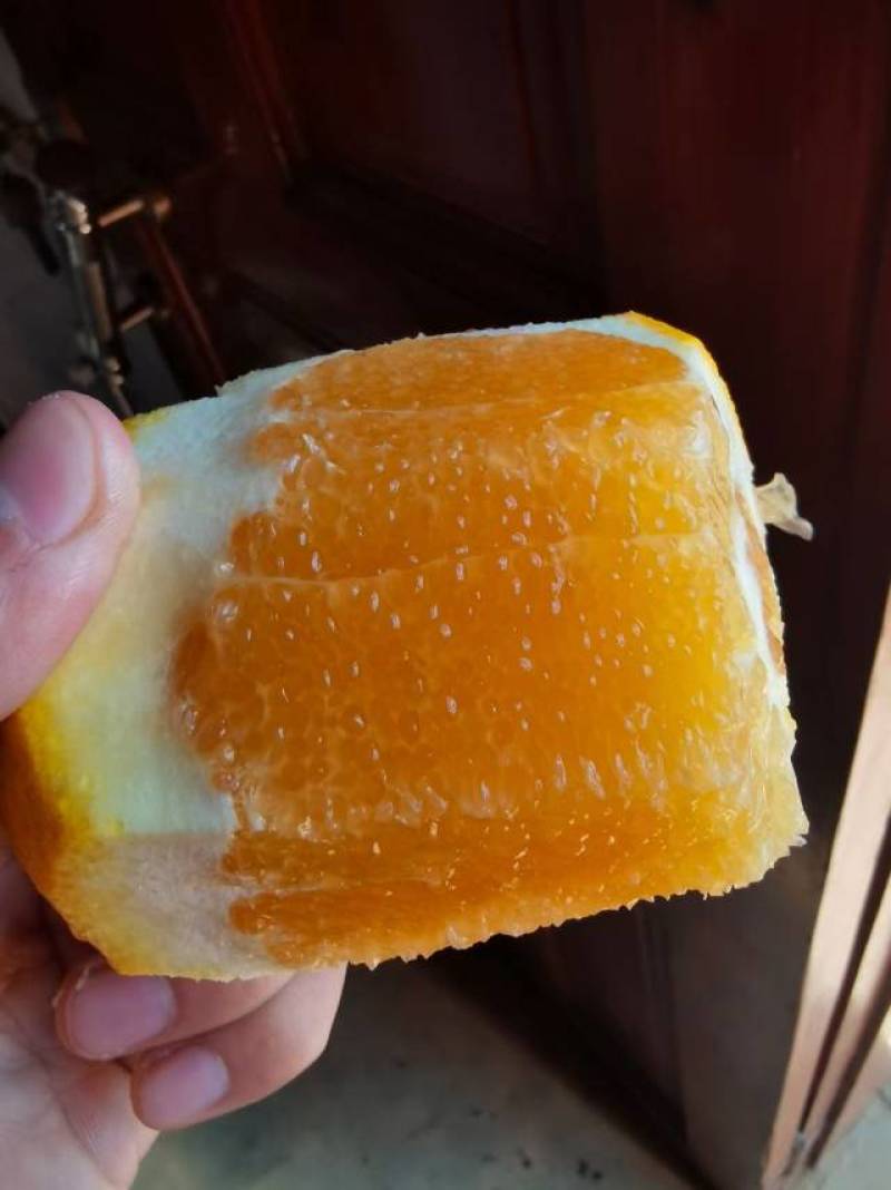 赣南纽荷尔脐橙当季现摘现发精品果礼盒装孕妇榨汁**正宗赣橙