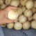 人参果