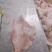 小块精修肉青，