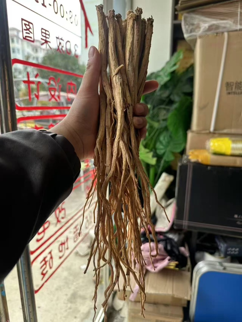甘肃党参大量有货产地直发一手货源保质保量多买多优