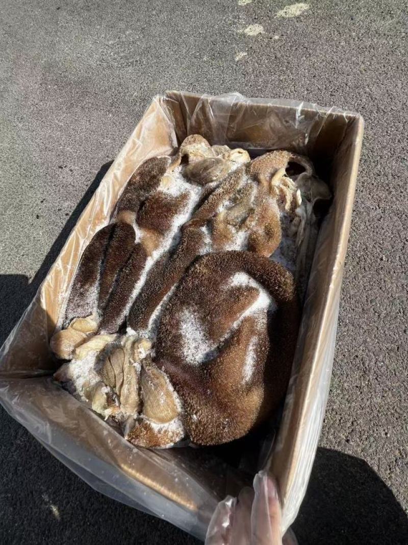 熟黑羊肚，价格**便宜