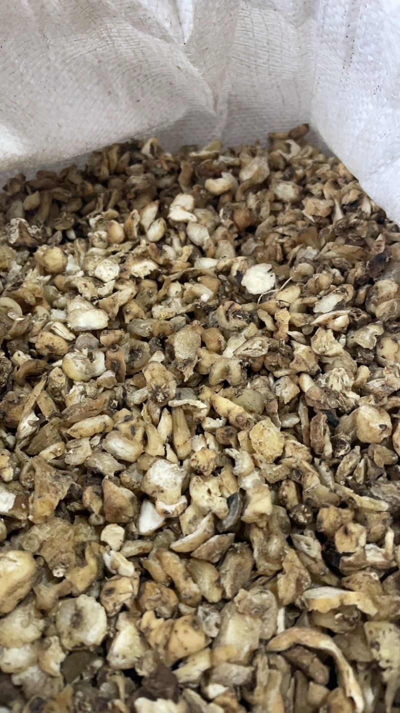 山慈菇