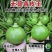 无蔓杂交嫩瓜种子早熟丛生小南瓜高产结果多果型亮丽西葫芦种
