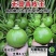 无蔓杂交嫩瓜种子早熟丛生小南瓜高产结果多果型亮丽西葫芦种