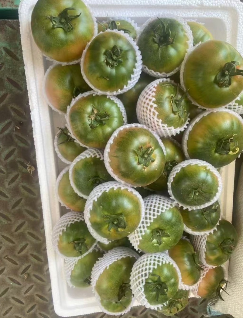 推荐铁皮柿子绿腚碱地柿子草莓柿子自家种植小件批发