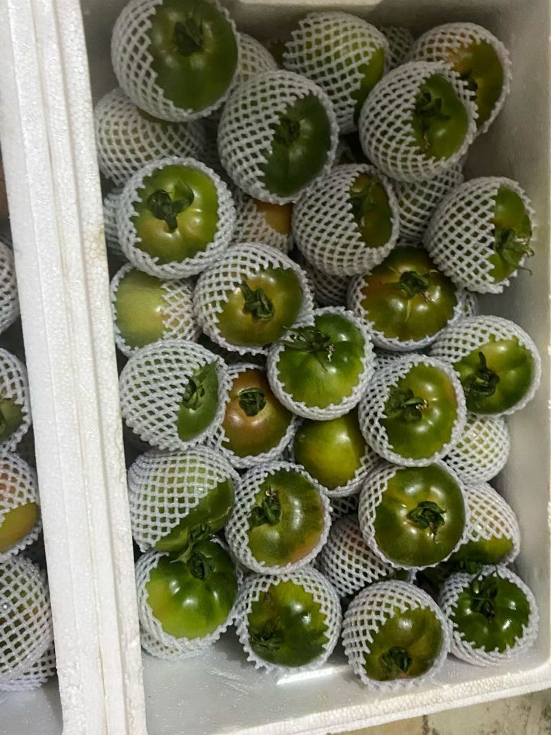 草莓西红柿草莓柿子自家种植一手货源小件批发中果以上规