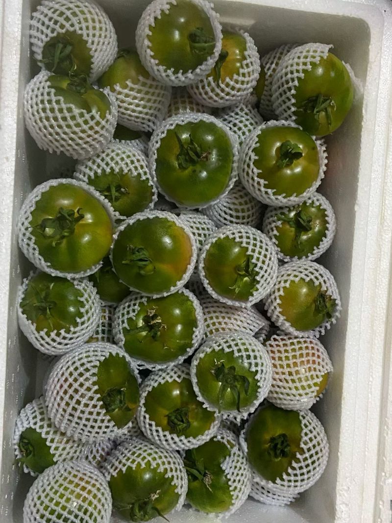 草莓西红柿草莓柿子自家种植一手货源小件批发中果以上规