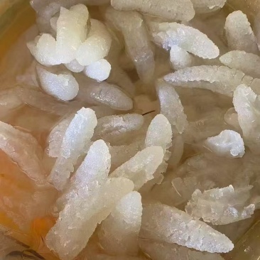 八爪蜇头