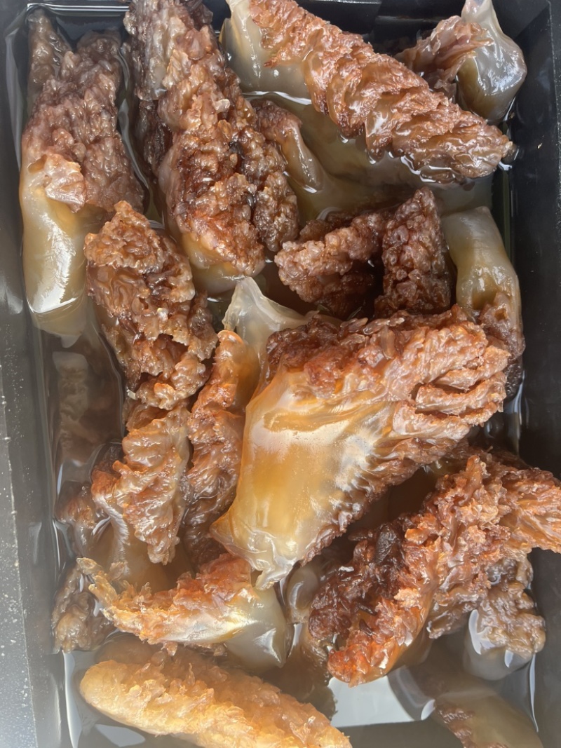 野生棉蜇角