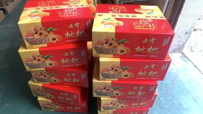 青枣