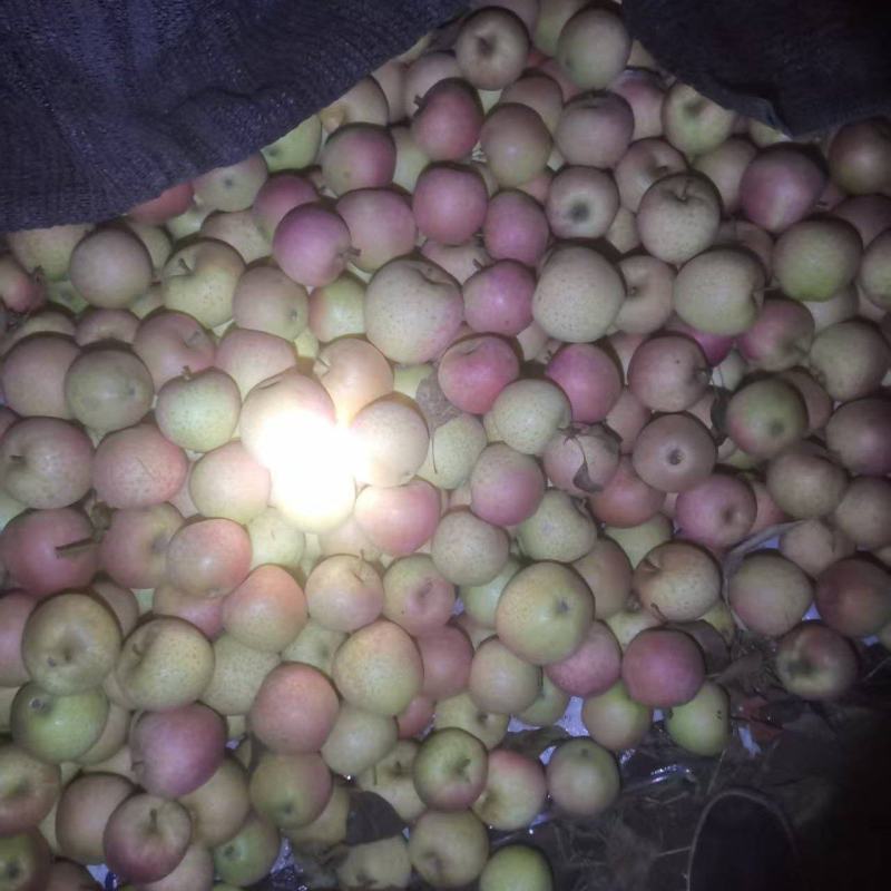 纸袋王林平果