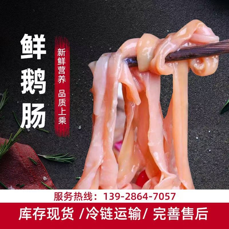 【精之品】鹅肠厂家直发一手货源质量保证欢迎选购