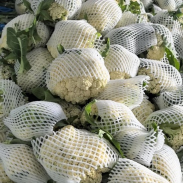花菜基地直发/市场/电商