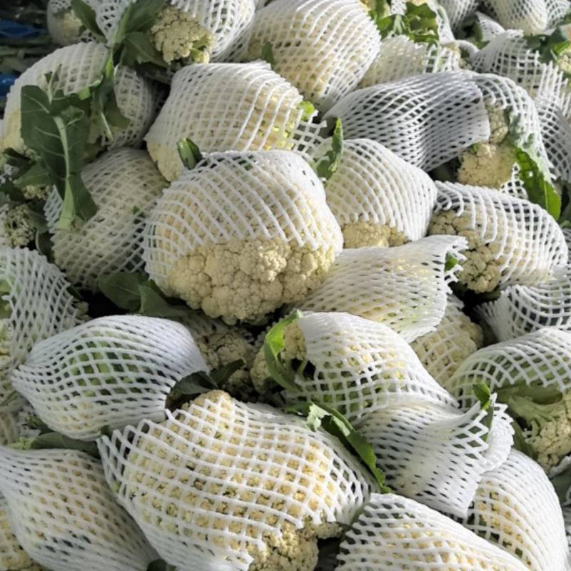 花菜基地直发/市场/电商