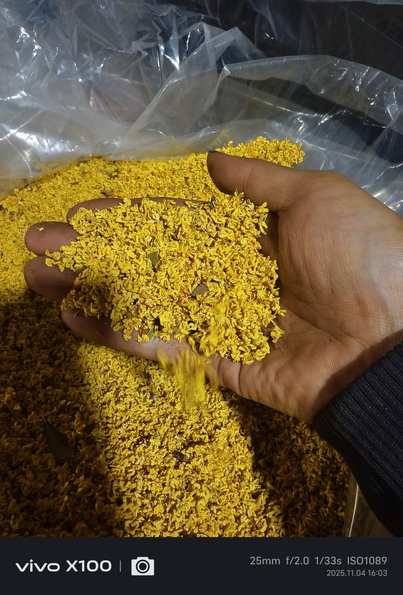 广西桂林阳朔干桂花有无硫桂花