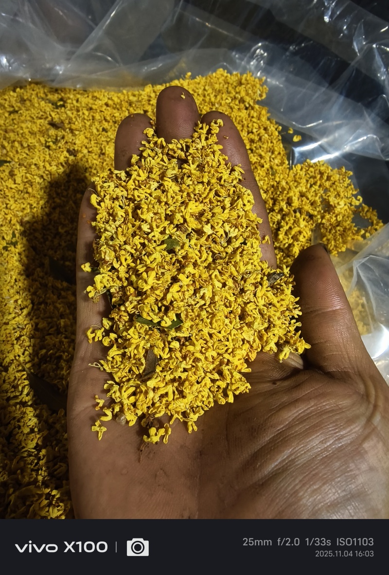 广西桂林阳朔干桂花有无硫桂花
