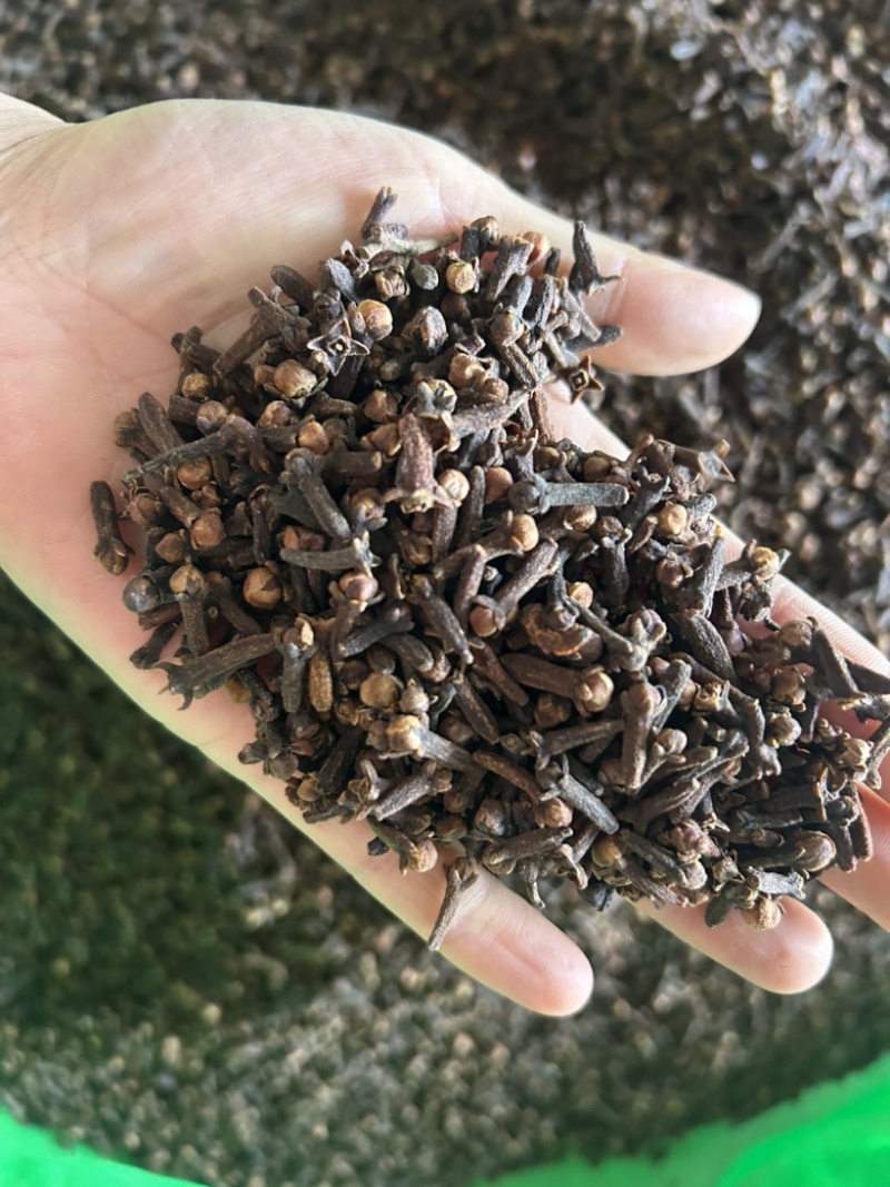 丁香公丁香味道浓精选好货诚信经营