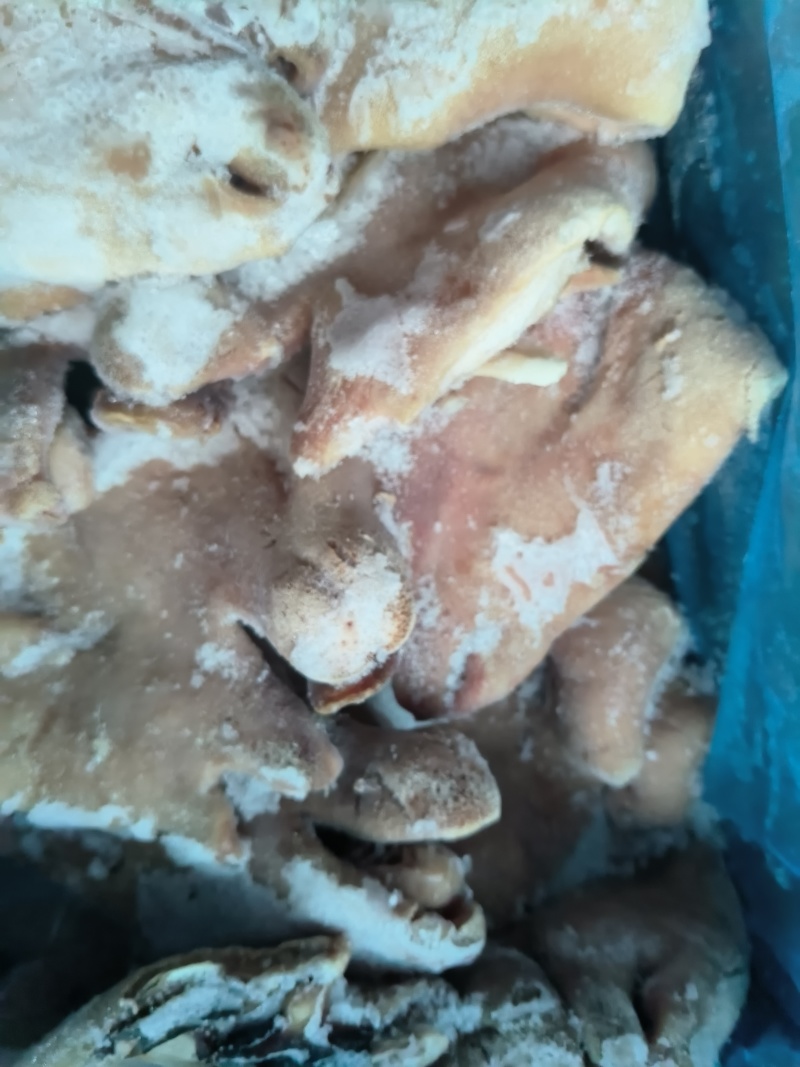 精品全熟羊杂羊头羊心羊肠羊肚羊肺羊血羊肉