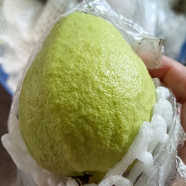 番石榴