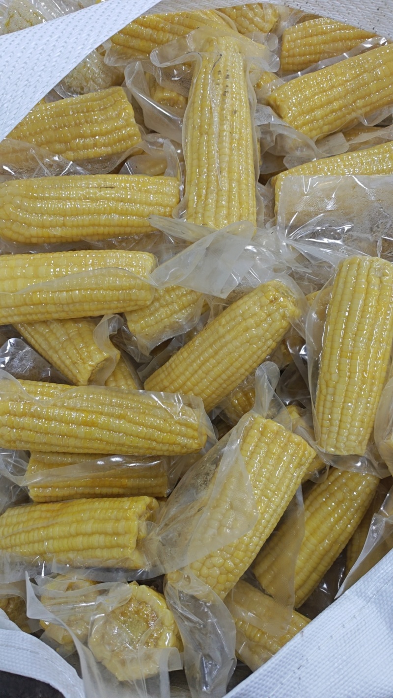 真空包装玉米