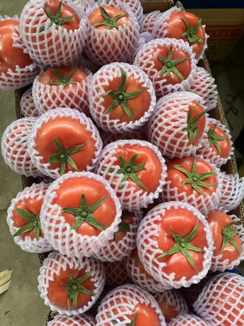 江苏连云港精品硬粉串果开始上市，电商商超批发市场