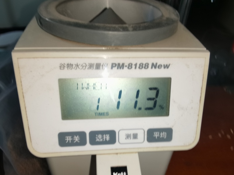 1号5龙麦60340吨816容重11.5水