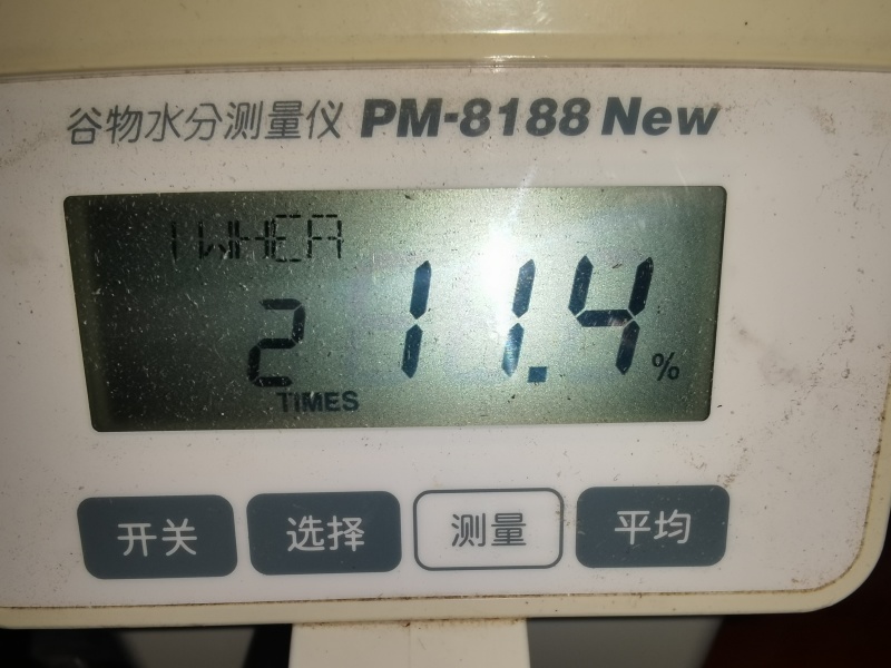 1号5龙麦60340吨816容重11.5水