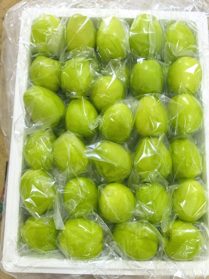 青枣牛奶枣云南元谋糖度12-15支持电商一件代发量大优惠