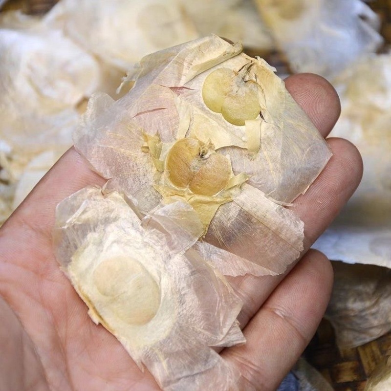 木蝴蝶中药材进口木蝴蝶批发零售货真价实假一赔十
