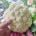 花菜松花菜菜花产地直发，大量出货，诚信经营