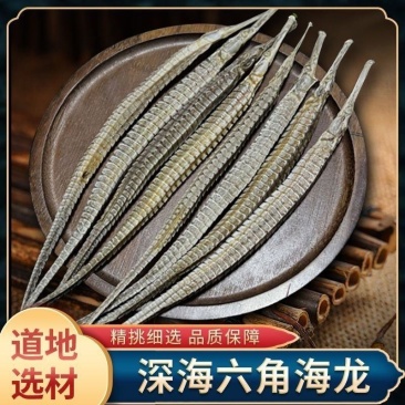 海龙干货六角大海龙海龙药材公母海产干货中药材
