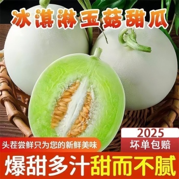 海南南乐县玉菇甜瓜/冰淇淋甜瓜/大量头茬新货