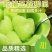 海南南乐县玉菇甜瓜/冰淇淋甜瓜/大量头茬新货
