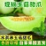 海南南乐县玉菇甜瓜/冰淇淋甜瓜/大量头茬新货