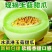 海南南乐县玉菇甜瓜/冰淇淋甜瓜/大量头茬新货
