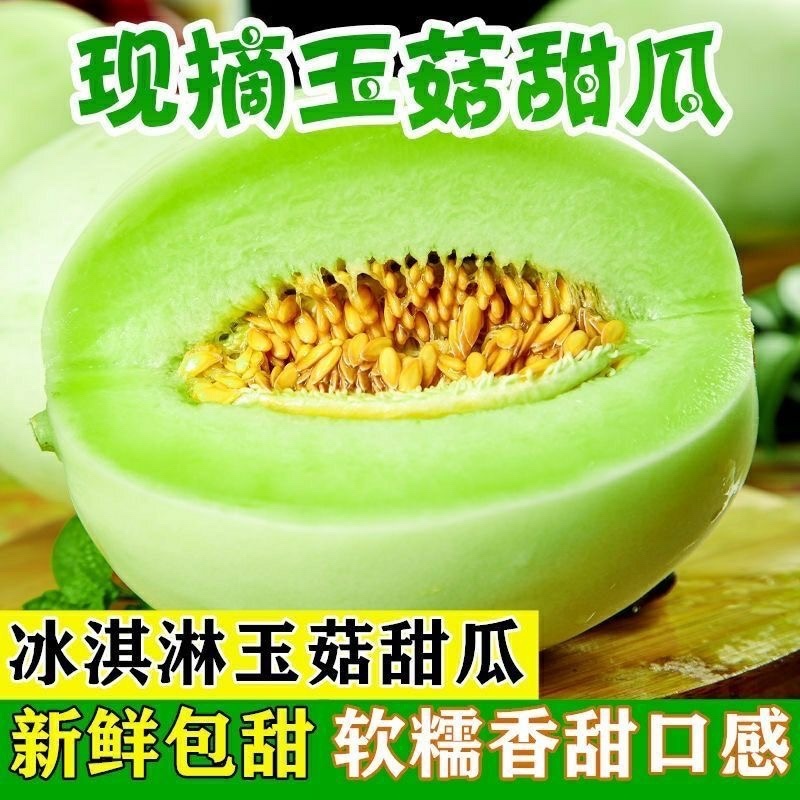 海南南乐县玉菇甜瓜/冰淇淋甜瓜/大量头茬新货