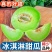 海南南乐县玉菇甜瓜/冰淇淋甜瓜/大量头茬新货
